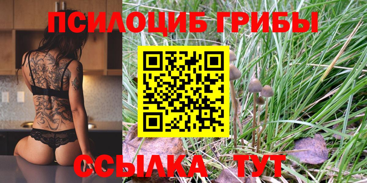 Галлюциногенные грибы ЛСД  дарнет шоп  Псилоцибиновые грибы Psilocybine cubensis  Ступино  Вход с VPN 